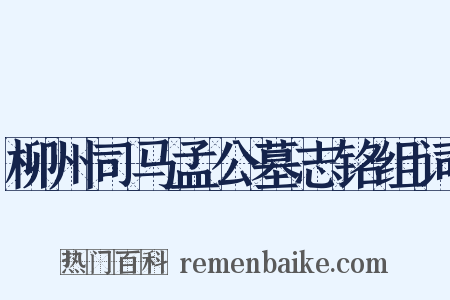 柳州司马孟公墓志铭组词是什么意思的图片